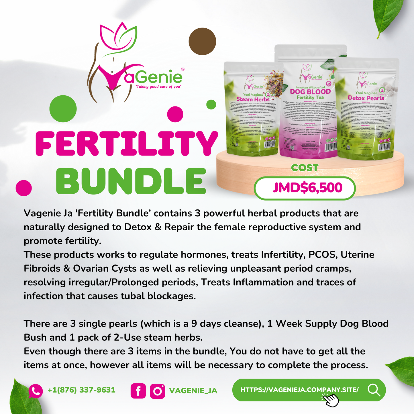 Fertility Support Bundle