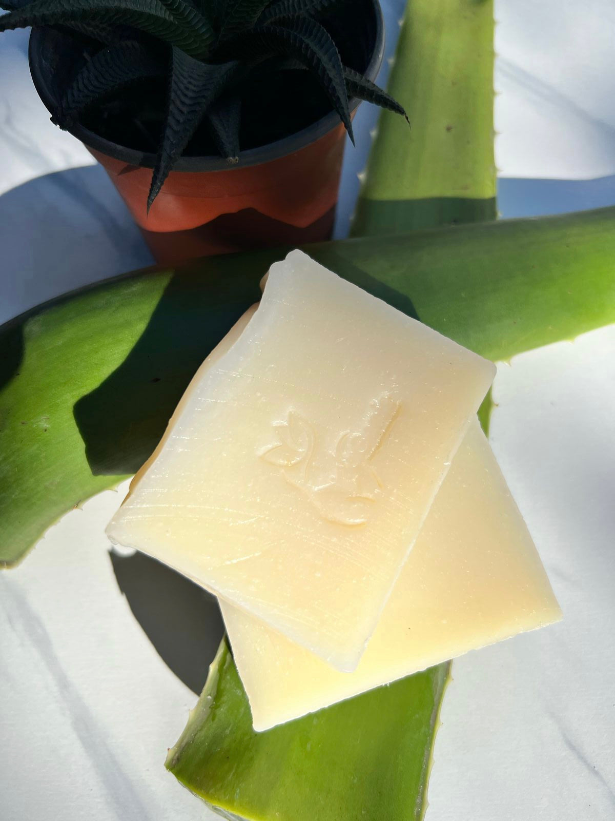 Bulk Face & Body Bars - 5oz MOQ:6