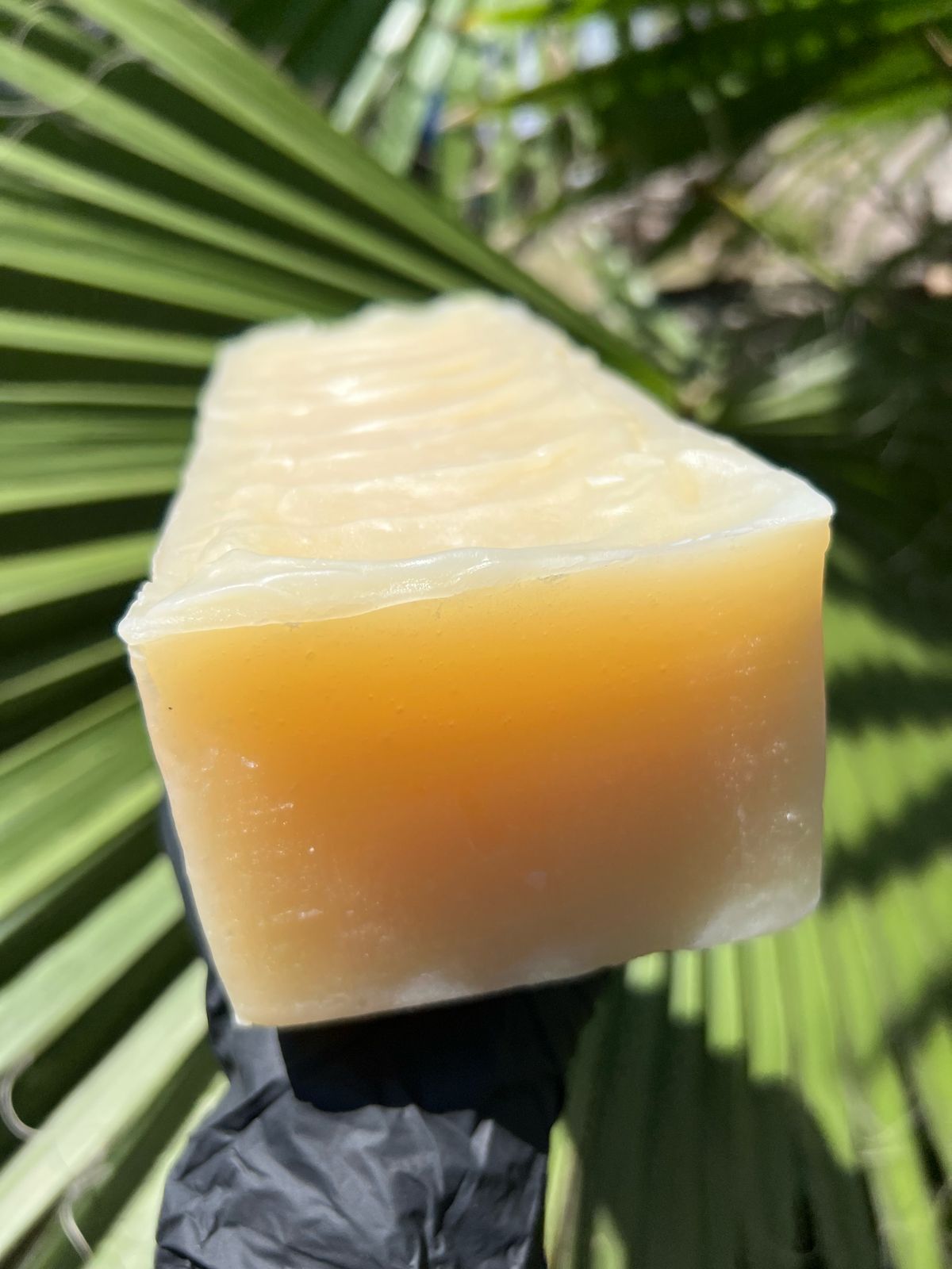 Aloe Vera Repair Bar